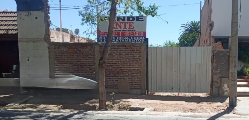 LOTE SOBRE YRIGOYEN